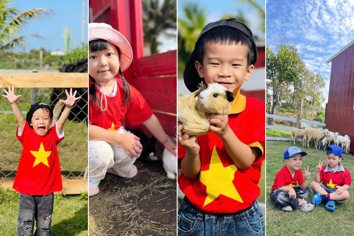 Nông trại Pleiku.jpg